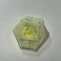 Organza Rose