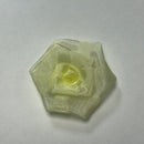 Organza Rose